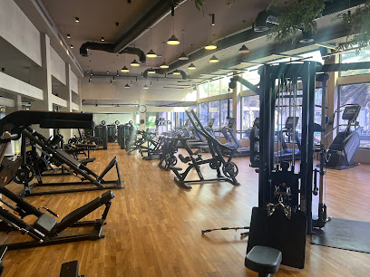 Elitefusionsports - Ajman - +971 50 650 1249