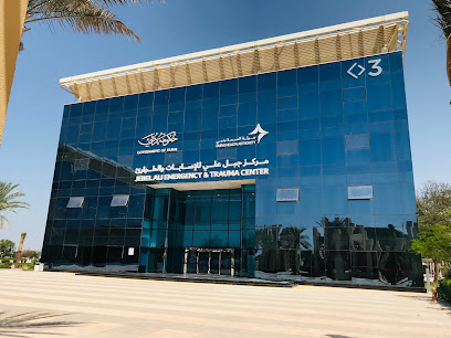 DIC DHA Hospital - Dubai -