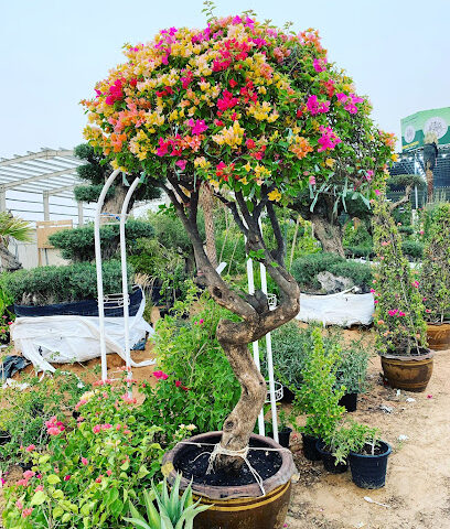 MUGHEL LANDSCAPING - Dubai -