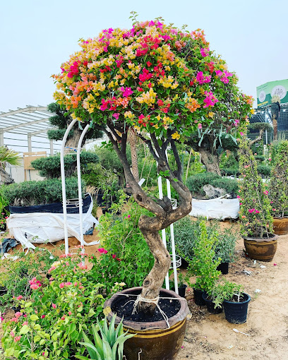 MUGHEL LANDSCAPING - United Arab Emirates|Warsan 3 - Dubai|Mughel Gardens