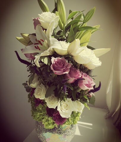 Mera flora - Ajman - +971 56 740 1919