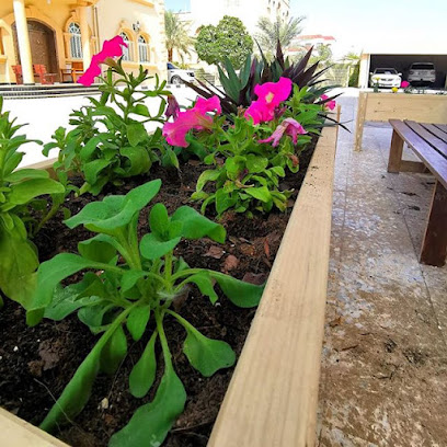 Raised Bed UAE - Dubai - +971 50 279 7131
