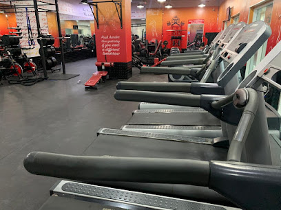 Next step gym - Dubai - +971 50 686 9866