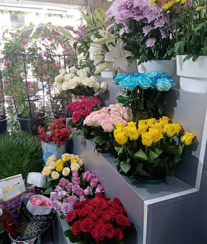 Green Art Factory - Ajman - +971 50 900 1391