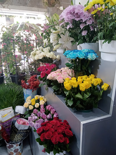 Green Art Factory - United Arab Emirates|Al Karama - Dubai|43A St|Fish Market