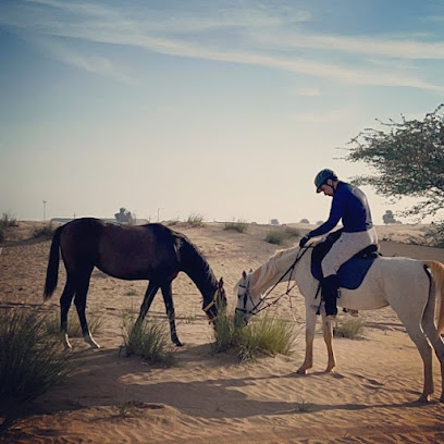 Sahara Stables - Dubai - +971 50 339 6524
