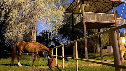 مزرعة الروضة Alrawda Farm - Ajman -