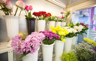 Choice Flowers - Flowers Abu Dhabi | Flower Delivery Abu Dhabi, Dubai & Sharjah, Balloons, Events & Indoor Plants - Ajman - +971 2 621 5570