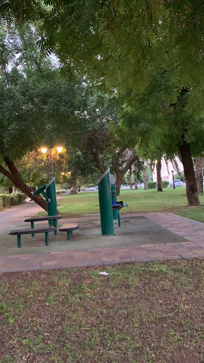 Workout Fitness Spot - United Arab Emirates|Al Jimi - Sheikh Hamdan Bin Zayed - Abu Dhabi|Al Baladiyyah St|Al Awwal Mosque