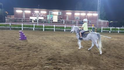 Ambition Equestrian Club - Dubai - +971 56 638 2243
