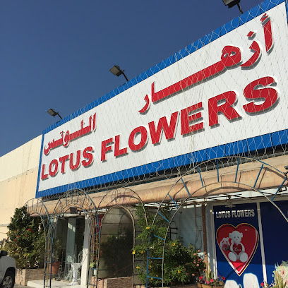 Lotus Flowers - Ajman - +971 7 235 3673