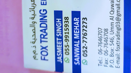 FOX TRADING ELECTRICAL & PLUMBING L.L.C. - Ajman - +971 55 991 5938