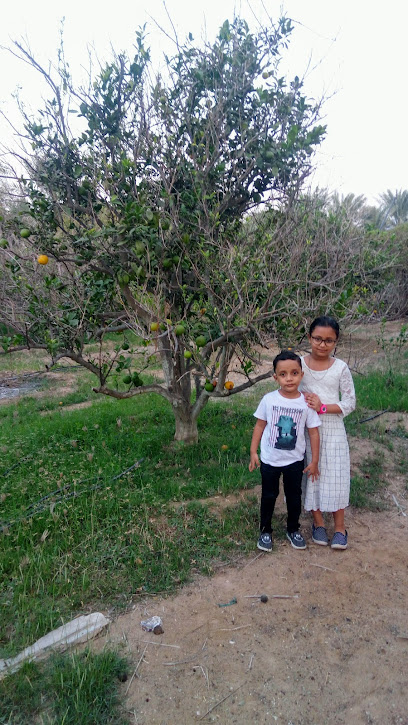 ALSALAMI FARM