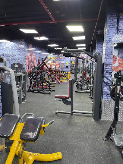 Tiger Gym - United Arab Emirates|E18-01 - Abu Dhabi|F9CC+F9H - Zone 1