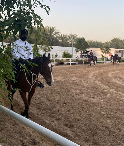 Deebaj Stable - Dubai - +971 50 596 3088