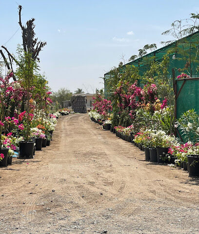 Home Garden Flowers Trading - Dubai -