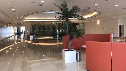 Al Maliha Medical Center - Dubai - +971 6 882 3334