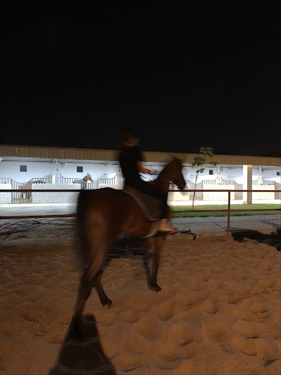 Alfaisal Stables - United Arab Emirates|Al Zubair Orchards - Sharjah|Unnamed Road|9JG5+V4M