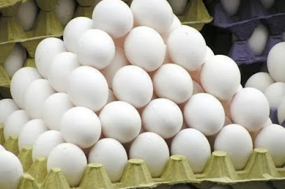 Egg Supply Company - Ajman - +971 54 458 3378