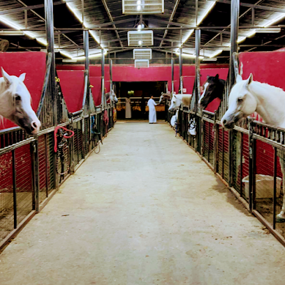 2MA STABLE - Dubai - +971 50 671 8183