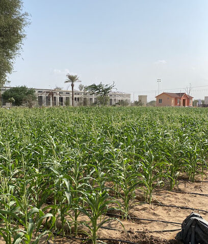 Al Fardan Farms - Ajman - +971 50 558 8511