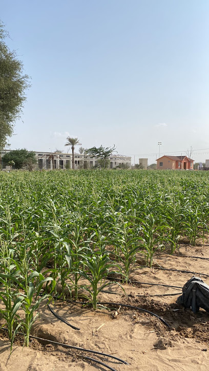 Al Fardan Farms - United Arab Emirates|Al Hamraniyah - Ras al Khaimah