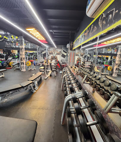Florida Bodybuilding Gym Ajman - Dubai - +971 58 134 7200