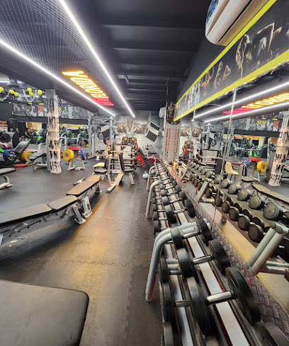 Florida Bodybuilding Gym Ajman - United Arab Emirates|Ajman Industrial 2 - Ajman|Amr Ibn El Aas St|Shop no 4
