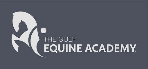 The Gulf Equine Academy - Ajman - +971 56 882 6717