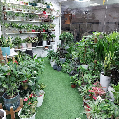 The Green Plant Flowers Tr llc - Ajman - +971 52 486 3496