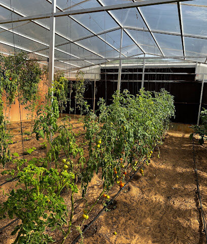Wadi Al Amardi Farm - Ajman - +971 50 836 3750