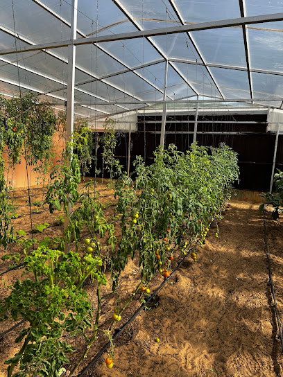 Wadi Al Amardi Farm - United Arab Emirates|Wadi Al Amardi - Dubai|Al Khawaneej St