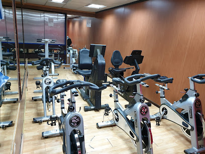 Flex Fitness - Dubai - +971 2 621 3300