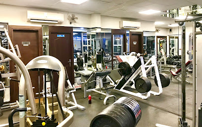 Al Quoz Gym - Dubai - +971 50 920 0881