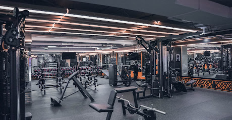 World of Champions Gym - Dubai - +971 4 591 3466