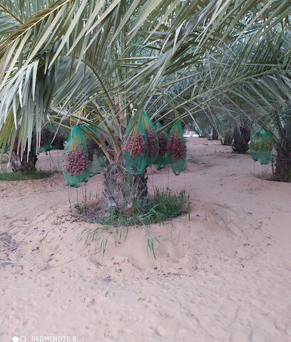 Alqraidi Farm - Ajman -