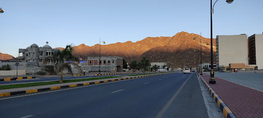 Dibba Hospital - مستشفى دبا - Dubai - +971 9 206 1500