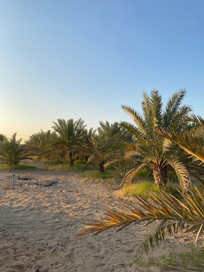 مزرعة رمضان عيسى - United Arab Emirates|Sharjah|Unnamed Road