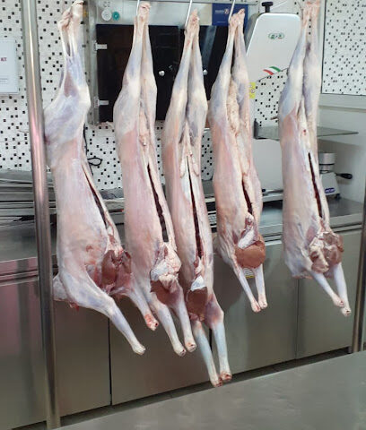 Shoebuzz General Trading LLC - Ajman - +971 6 525 9619