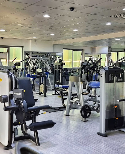 I-GYM Body Fitness - United Arab Emirates|Ajman|30432 Sheikh Zayed Road