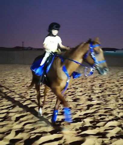 مربط الشبلي للخيول العربية - Dubai - +971 56 555 2928
