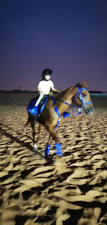 مربط الشبلي للخيول العربية - United Arab Emirates|Al Nabbagh - Abu Dhabi