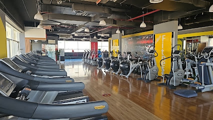Zaharat Al Reem Bodybuilding - Dubai - +971 54 400 7567