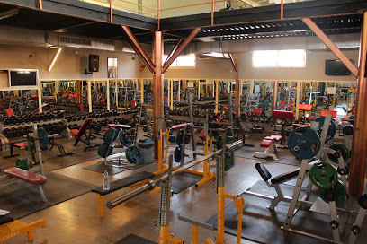 نادي بارج الصحي - Dubai - +971 7 236 3000