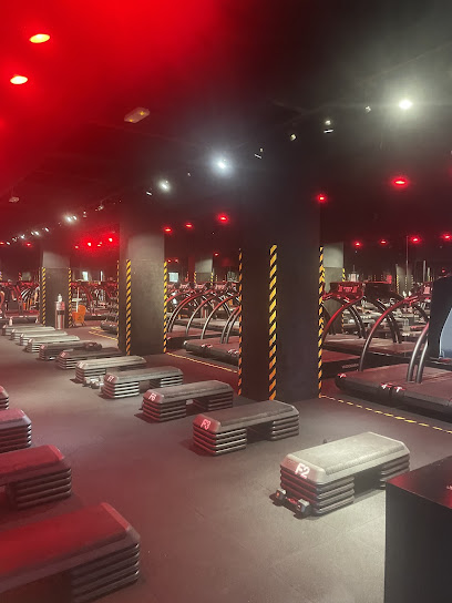 Barry's Dubai DIFC - United Arab Emirates|Dubai|Financial Center Rd|Central Park Towers