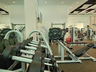 Fit Capital - Ajman - +971 6 545 2228