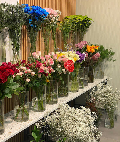 Delight Flowers - Ajman - +971 50 157 4477