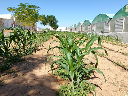 Veggitech Farms - Ajman - +971 4 278 4446