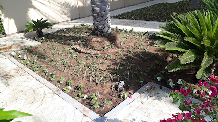 ABU DHABI GARDEN AND AGRICULTURE SERVICES LLC - Dubai - +971 50 752 1368