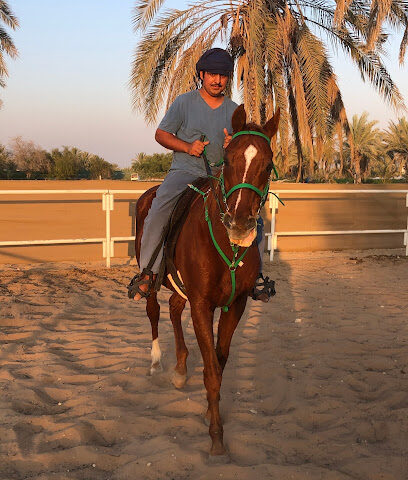 ALTHEEB HORSE STABLE - Dubai - +971 50 250 1566